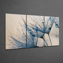 Méga Tableau en verre - Pissenlit et gouttes d'eau Mega Cam Tablo - Karahindiba ve su damlaları Mega Glastisch-Löwenzahn und Wassertropfen